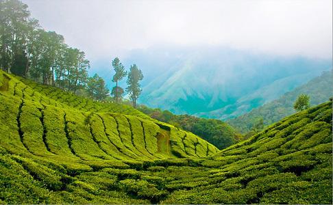 Munnar Dreams Hotel Exterior foto