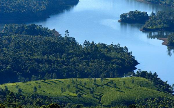 Munnar Dreams Hotel Exterior foto