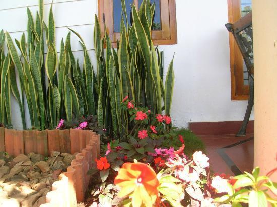 Munnar Dreams Hotel Exterior foto